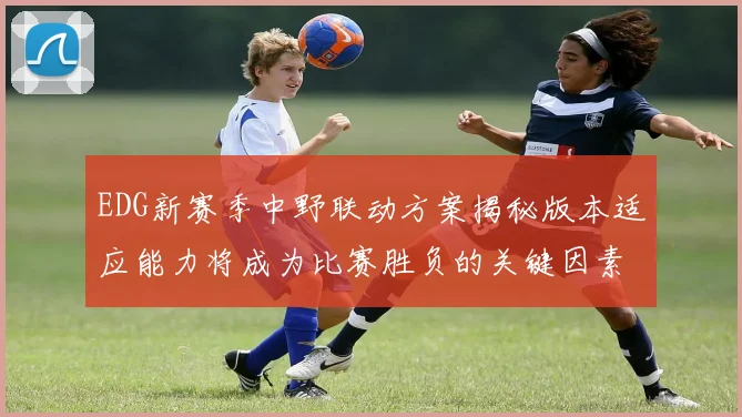 EDG新赛季中野联动方案揭秘版本适应能力将成为比赛胜负的关键因素